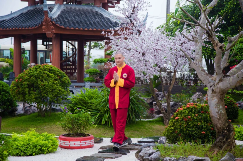 Thần kỳ bài khí công dịch cân kinh: Trị bệnh gan, thận, dạ dày